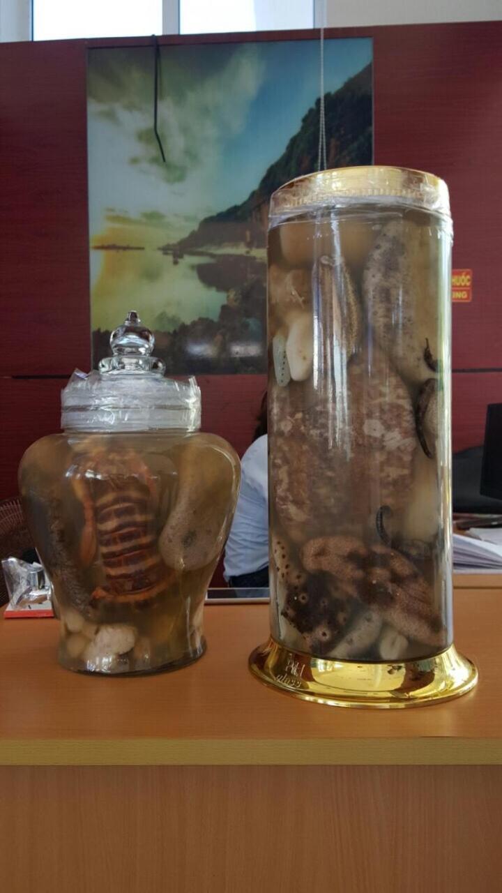 Dai Thanh 1 Motel Cang Sa Ky كوانج نجاي المظهر الخارجي الصورة